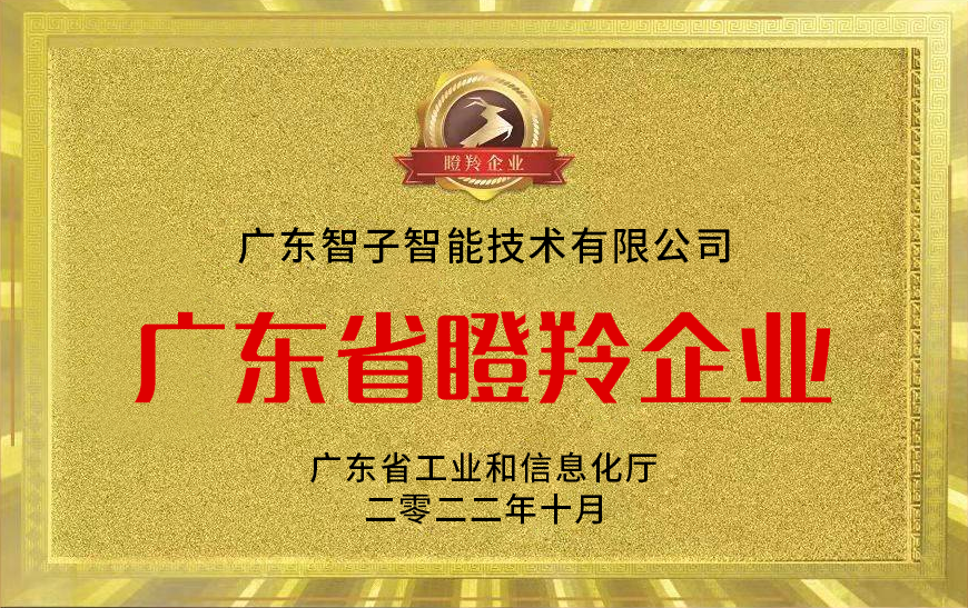 智子·榮譽資質展示